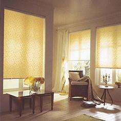 ‘Les Conseils Déco de Françoise’ : l’Habillage des fenêtres de votre Maison ! stores-enrouleurs-131944