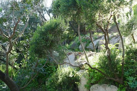 COMMENT J'AI GAGNE À UN BLOG-CONCOURS... UN CONSEIL DÉCO ! COMMENT J'AI GAGNE À UN BLOG-CONCOURS... UN CONSEIL DÉCO !