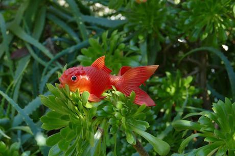 COMMENT J'AI GAGNE À UN BLOG-CONCOURS... UN CONSEIL DÉCO ! COMMENT J'AI GAGNE À UN BLOG-CONCOURS... UN CONSEIL DÉCO !