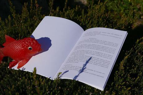 COMMENT J'AI GAGNE À UN BLOG-CONCOURS... UN CONSEIL DÉCO ! COMMENT J'AI GAGNE À UN BLOG-CONCOURS... UN CONSEIL DÉCO !