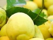 p’tit citron Menton