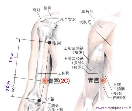 Le point Qing Ling du méridien du coeur (2C)
