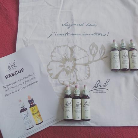{Les fleurs de Bach} Aujourd’hui, j’écoute mes émotions {Les fleurs de Bach} Aujourd’hui, j’écoute mes émotions
