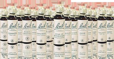 {Les fleurs de Bach} Aujourd’hui, j’écoute mes émotions {Les fleurs de Bach} Aujourd’hui, j’écoute mes émotions