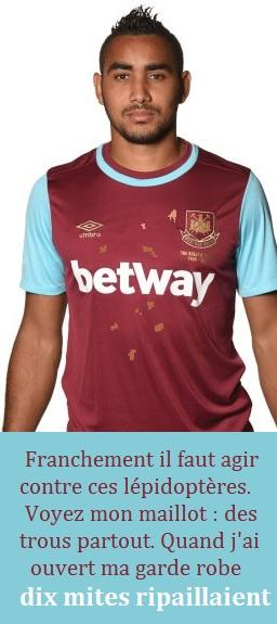 SE FAIT RARE PAYET ?