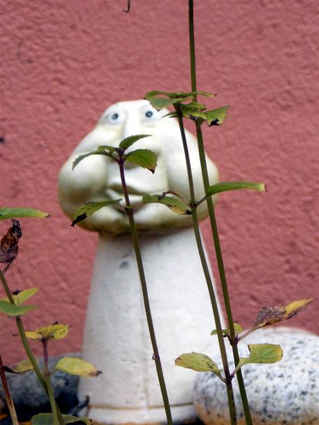 Ecoutez si on allume les étoiles