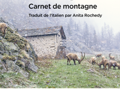 garçon sauvage Paolo COGNETTI