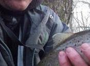 Ouverture truite 2016 Rockvibe gagnant