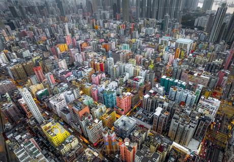 Urban Jungle – Andy Yeun