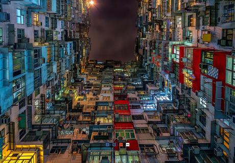 Urban Jungle – Andy Yeun