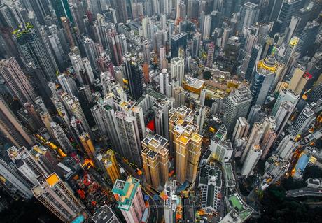 Urban Jungle – Andy Yeun