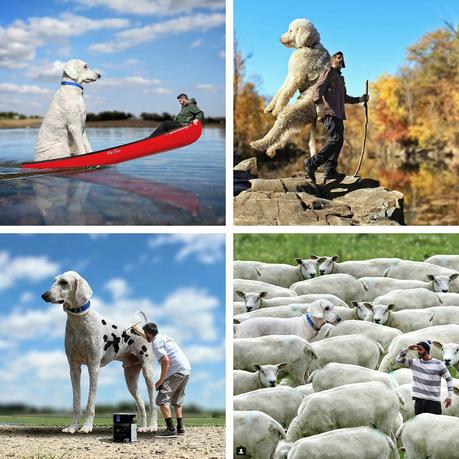 Juji le Chien Géant – Chris Cline