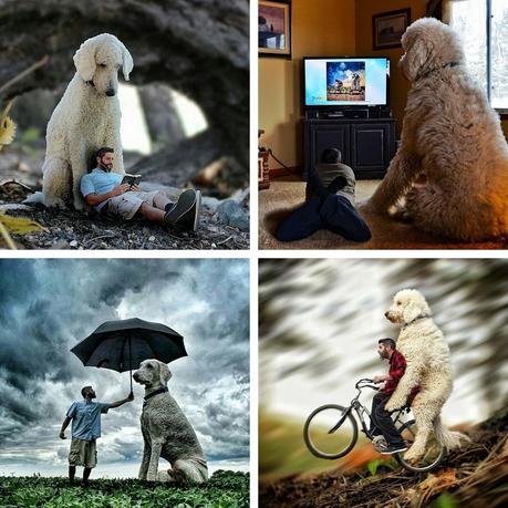 Juji le Chien Géant – Chris Cline