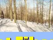 Mettez plus fibre dans votre