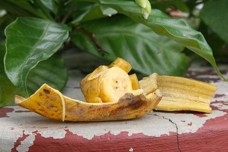 13 astuces pour donner une seconde vie aux peaux de banane !