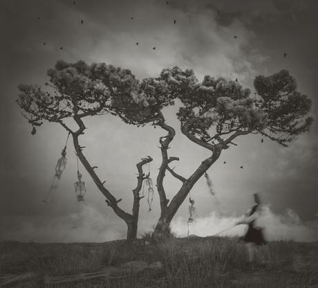 Richard Wood Photographe Richard Wood – Creative photographie