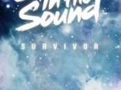 Stuck Sound Survivor Tout qu’on détesté dans 80/90′s condensé album