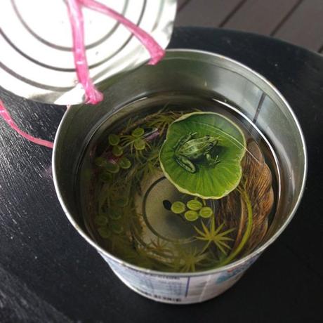 Ce qui se passe dans cette assiette est absolument irréel… Cet animal n’est pas ce qu’il semble être !