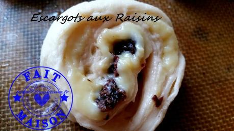 Escargots aux raisins 4