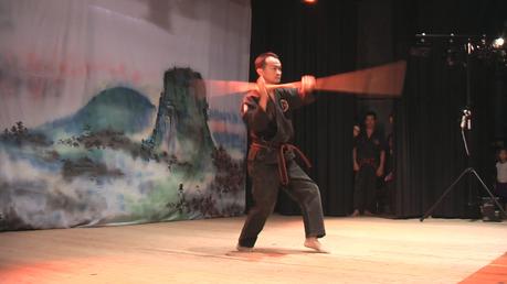Démonstrations de Viet Vo Dao, l'art martial vietnamien, par l'Ecole Van-Kiep, Plainpalais