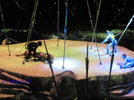 Canada - Toruk le cirque du Soleil 2