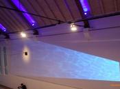 Plongeons, Fondation François Schneider