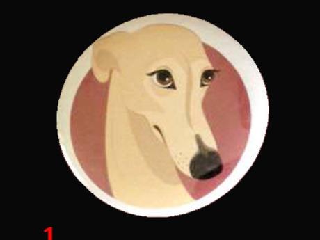 Badges lévriers en solidarité à la cause des galgos et podencos