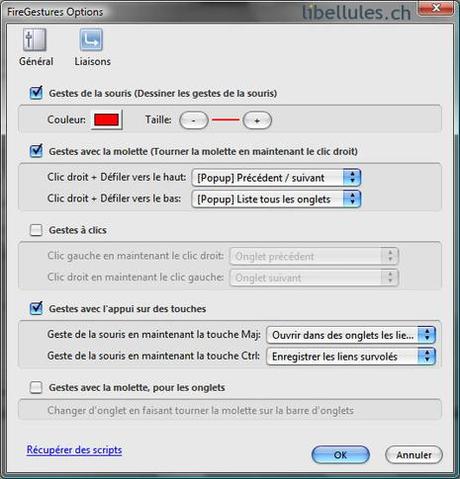 FireGestures FireGestures