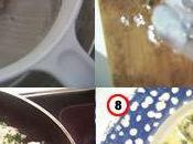 langues cabillaud sauce verte