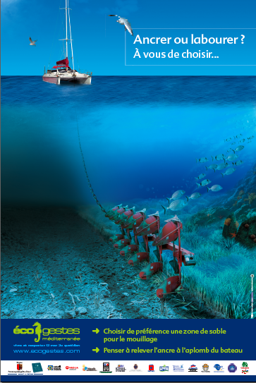 Ecogestes Méditerrannée en action contre la pollution maritime
