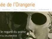 Musée l’Orangerie APOLLINAIRE regard poète Avril Juillet 2016