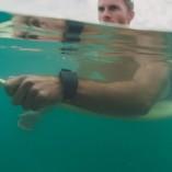 Le bracelet qui fait fuir les requins