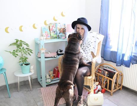 The Cat. Black or White.