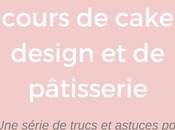 Donner cours cake design pâtisserie: série pour (futurs) pros suivre blog