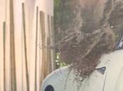 Kärcher s’associe Fantômes dans nouvelle campagne