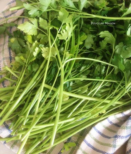 liban persil plat