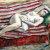 1937, Theodor Pallady (ami de Matisse) : Nud pe canapea