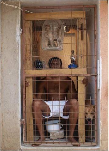 Identités Caribéennes : Construction/déconstruction identitaire dans les œuvres de Tirzo Martha et Habdaphaï Afrovictimize, , Tirzo Martha, 2009, photo web