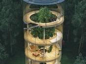 ARCHI Modern Tree House