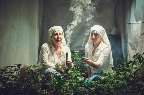 Ces bonnes sœurs qui cultivent du cannabis pour ensuite le revendre !