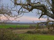 Petit vrai faux campagne