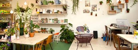 Boutique situé à Amsterdam. Wildernis est une boutique de fleurs mais pas que... Thé, café,  gâteau, cours et ateliers... Wildernis s'est donnée la mission de faire entrer dans vos intérieurs, un max de verdure !