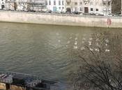 -Paris- terrasse panoramique l'Institut Monde Arabe