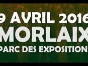 Stered Festival. crème scène bretonne actuelle