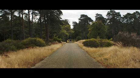 [Avant-première] [Direct-to-Vidéo] The end, métaphore d’une mort lente