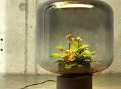 Mygdal Plantlamp lampes pour faire pousser plantes