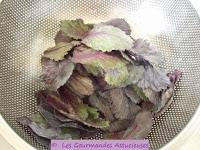 Assiette Vegan complète protéinée et vitaminée