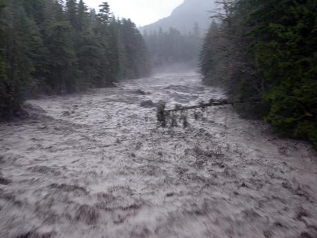 Nipinatcac, Kiwitinisiw & Wisaketcakw