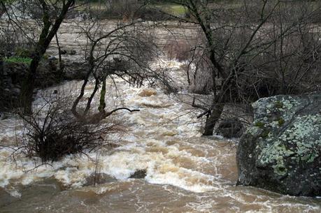 Nipinatcac, Kiwitinisiw & Wisaketcakw