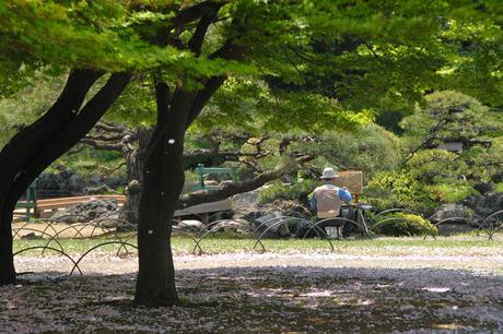 Comme une envie de vous montrer le Japon